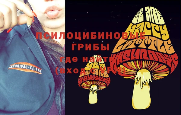 mix Осташков