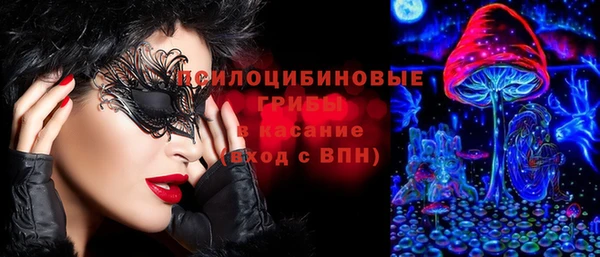 mdpv Осинники